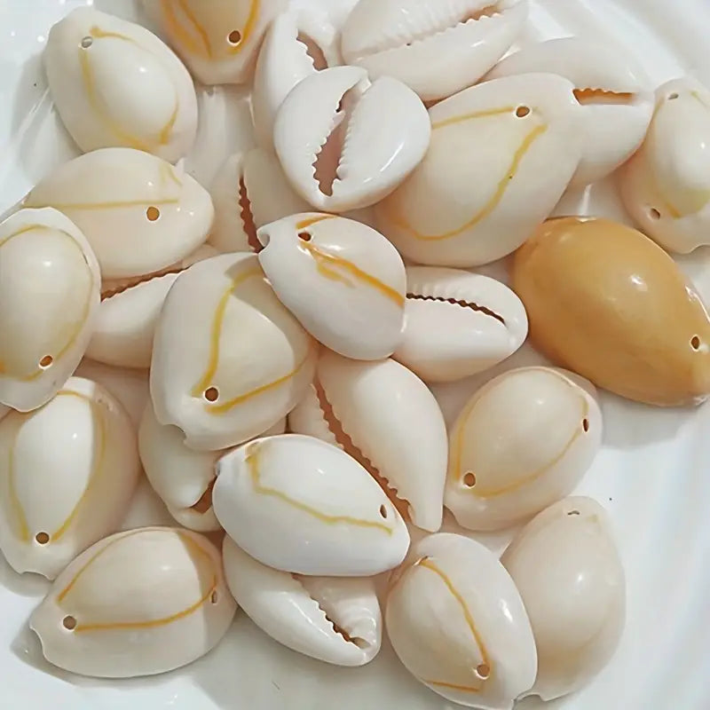 50pcs Mini Conch Shell Beads for Jewelry Making