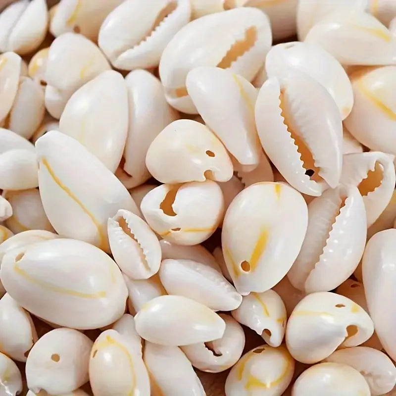 50pcs Mini Conch Shell Beads for Jewelry Making