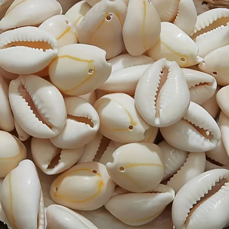 50pcs Mini Conch Shell Beads for Jewelry Making